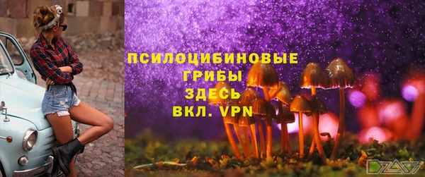 MDMA Елизово